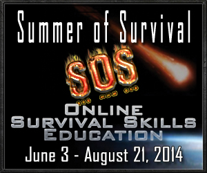 Summer of Survival 2014